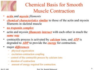 Contractile mechanism of smooth muscle | PPT