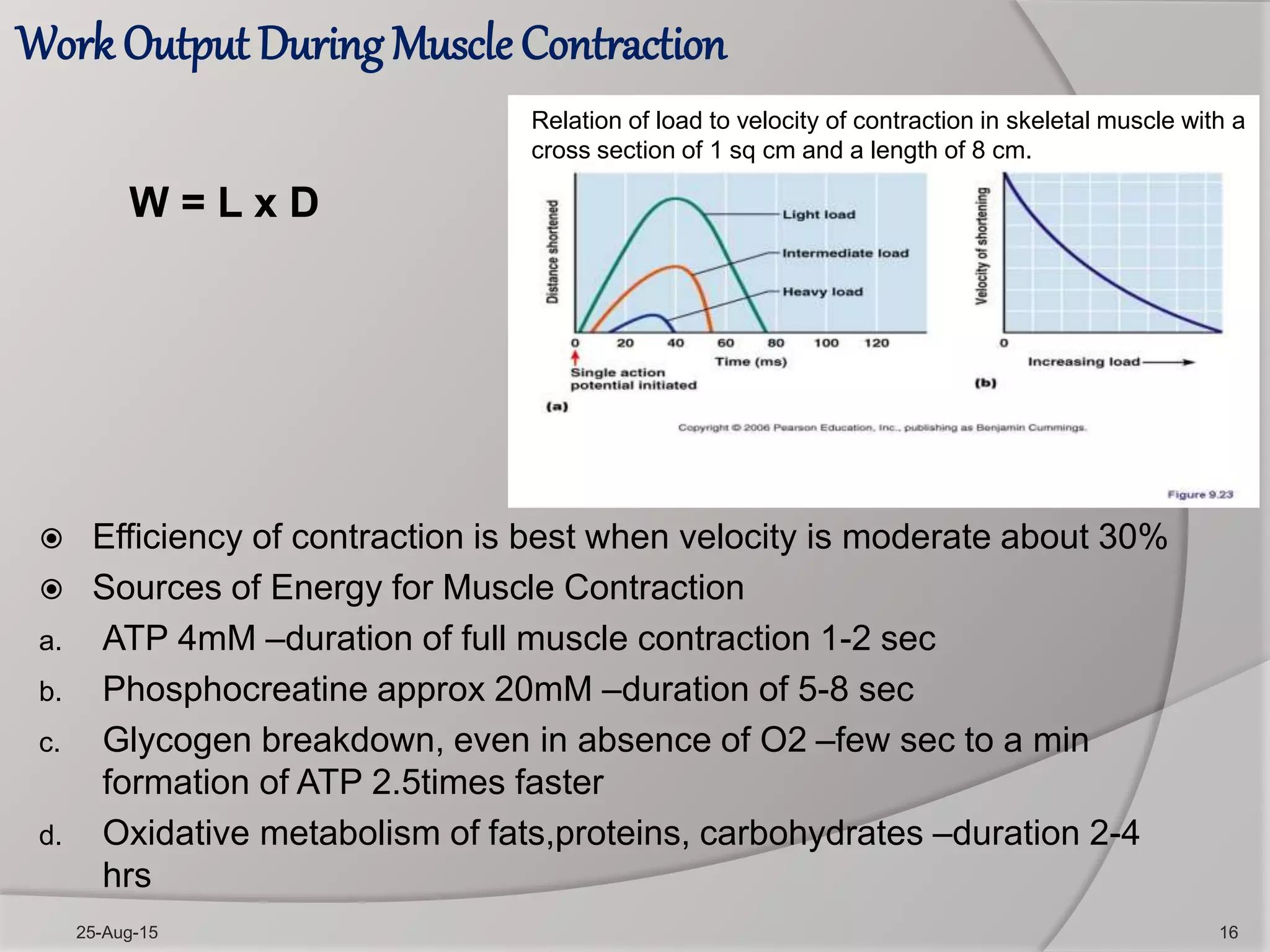 Contraction of skeletal and smooth muscles | PPTX