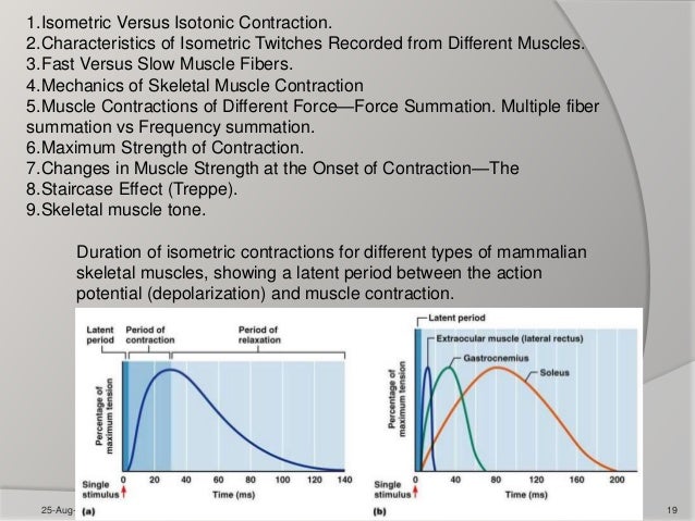 Contraction of skeletal and smooth muscles