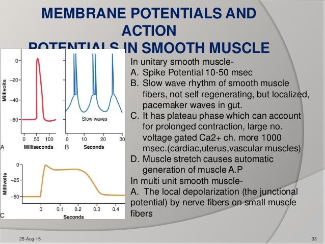 Contraction of skeletal and smooth muscles