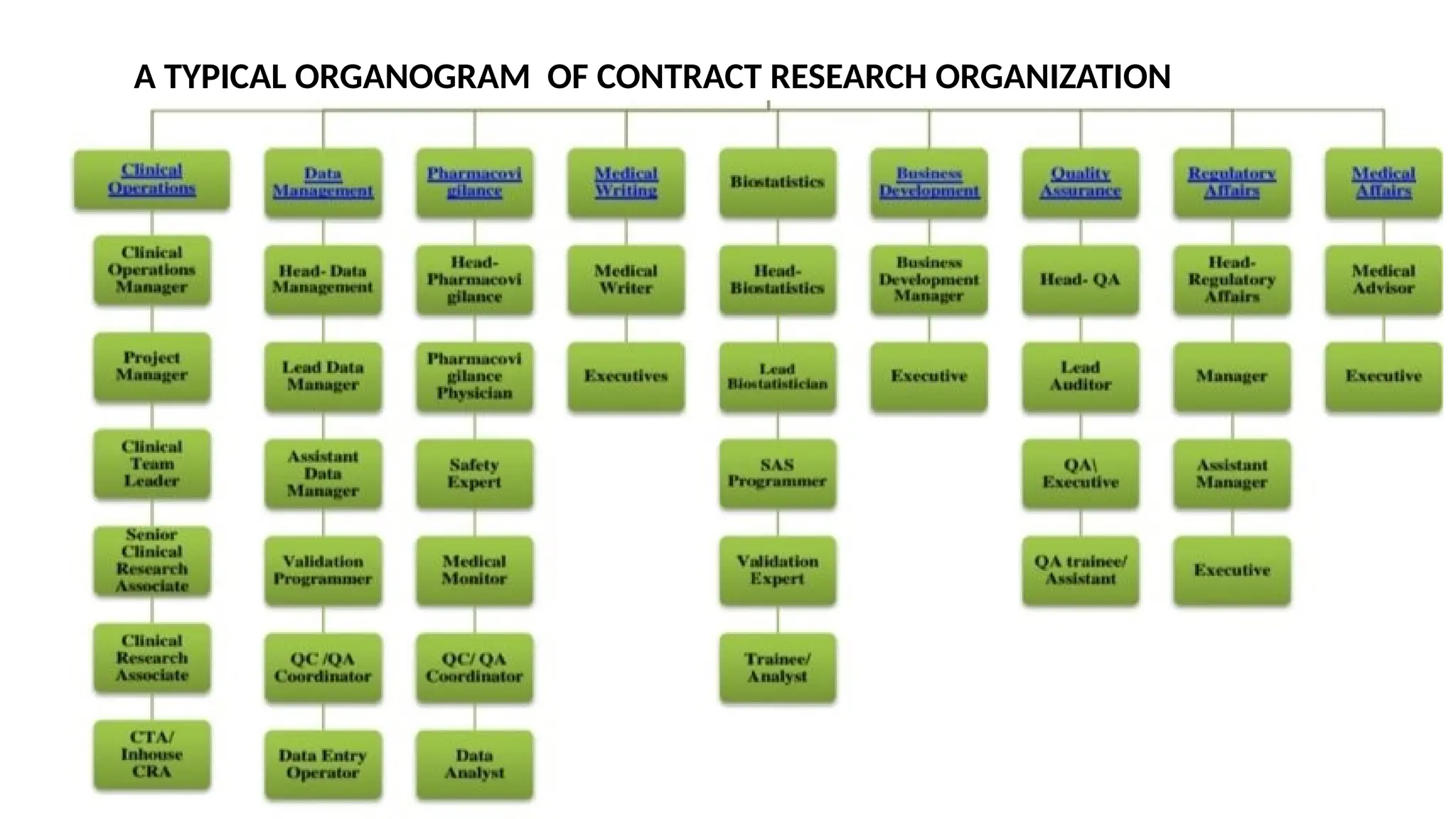 10
A TYPICAL ORGANOGRAM OF CONTRACT RESEARCH ORGANIZATION
 