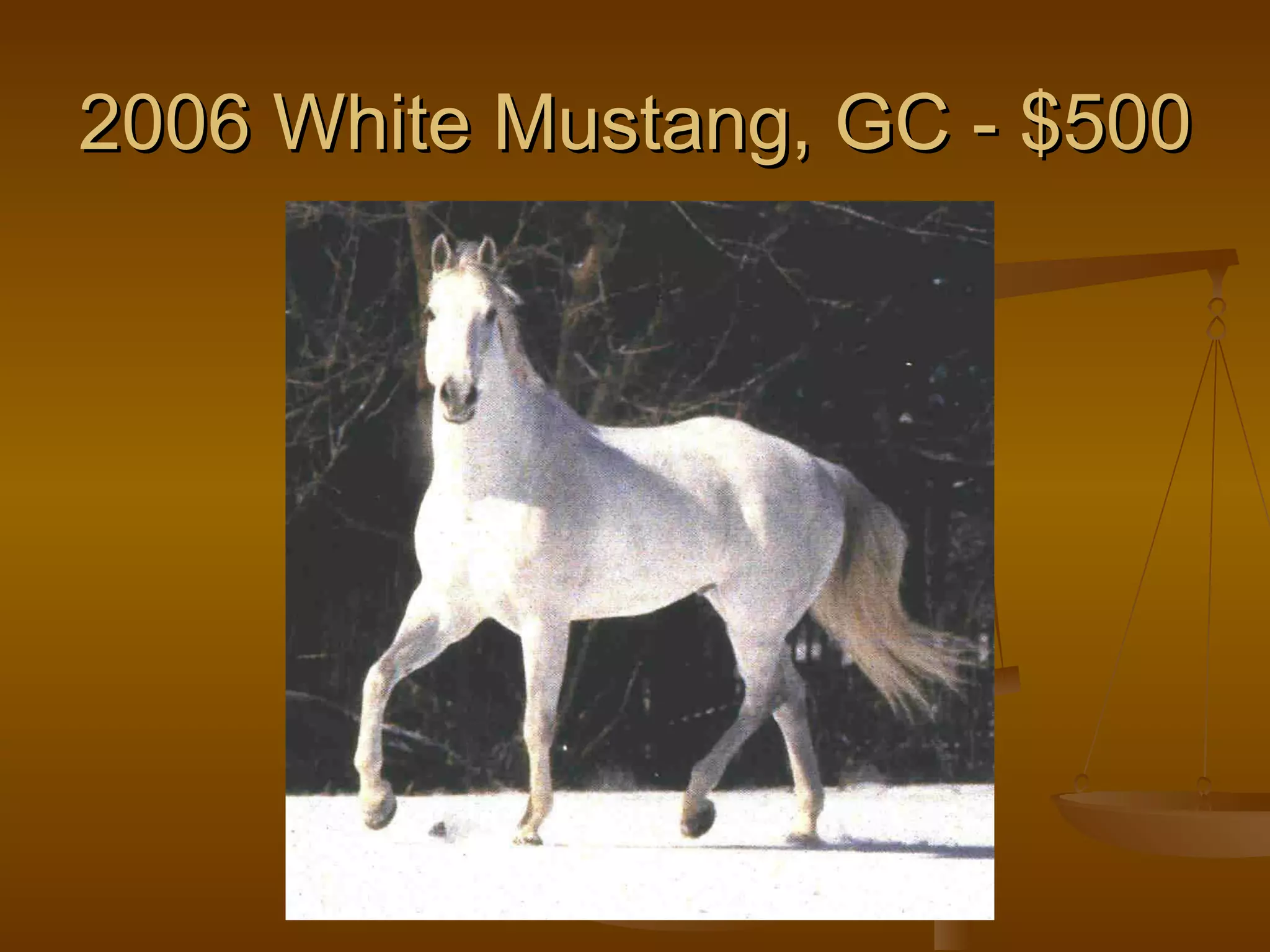 2006 White Mustang, GC - $500 