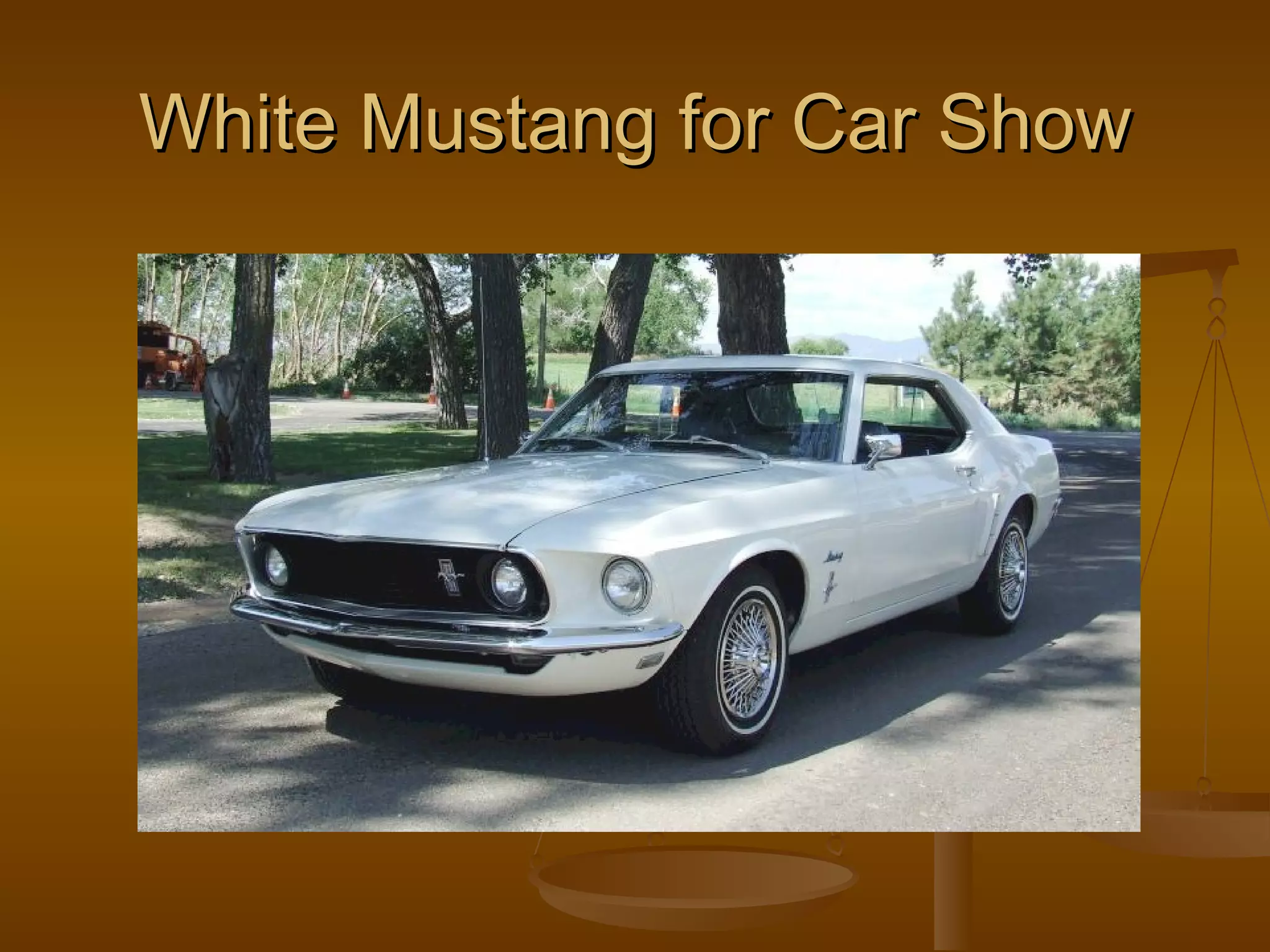 White Mustang for Car Show 