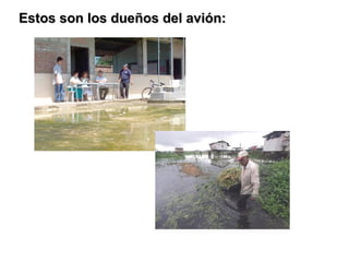 Estos son los dueños del avión:  