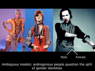 Ambiguous models: androgynous people question the split
of gender identities
Male Female
Transgender
 