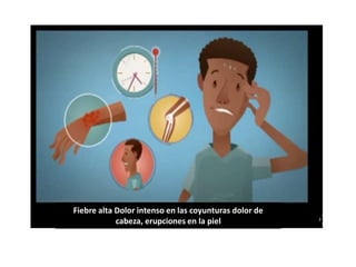 Fiebre alta Dolor intenso en las coyunturas dolor de 
cabeza, erupciones en la piel 
 
