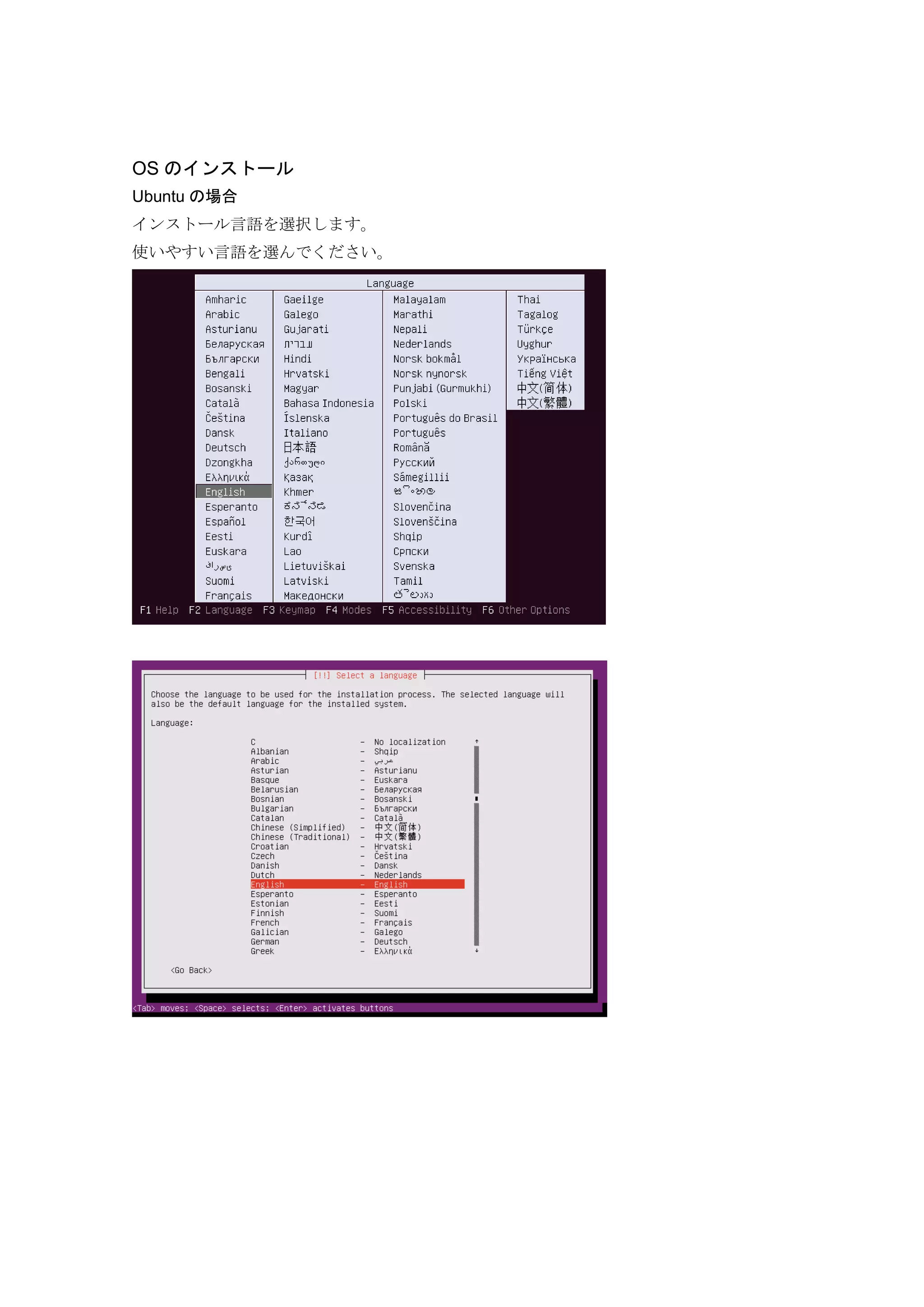 OS のインストール
Ubuntu の場合
インストール言語を選択します。
使いやすい言語を選んでください。
 