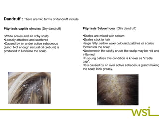 Contraindications | PPT