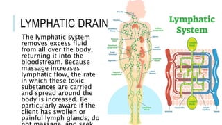 LYMPHATIC DRAINAGE
The lymphatic system
removes excess fluid
from all over the body,
returning it into the
bloodstream. Because
massage increases
lymphatic flow, the rate
in which these toxic
substances are carried
and spread around the
body is increased. Be
particularly aware if the
client has swollen or
painful lymph glands; do
 