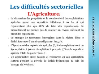 Les difficultés sectorielles
L’Agriculture:
o La dispersion des propriétés et le nombre élevé des exploitations
agricoles ayant une superficie inférieure à 10 ha et qui
représentent plus que 80% du total des exploitations. Ce
morcellement ne permet pas de réaliser un revenu suffisant au
profit des exploitants.
o Le manque de ressources fourragères dans la région, élève le
déficit fourrager à un niveau dépassant les 50%.
o L’âge avancé des exploitants agricoles (67% des exploitants ont un
âge supérieur à 50 ans et exploitent à peu près 77% de la superficie
agricole totale du gouvernorat.)
o Un déséquilibre entre besoins et ressources en eau d’irrigation
surtout pendant la période de déficit hydraulique au sein du
barrage de Nebhana.
40
LADYNAMIQUESECTORIELLE
 