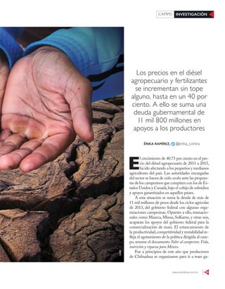 www.contralinea.com.mx 35
INVESTIGACIÓNCAMPO
Los precios en el diésel
agropecuario y fertilizantes
se incrementan sin tope
alguno, hasta en un 40 por
ciento. A ello se suma una
deuda gubernamental de
11 mil 800 millones en
apoyos a los productores
E
l crecimiento de 40.73 por ciento en el pre-
cio del diésel agropecuario de 2011 a 2015,
ha ido afectando a los pequeños y medianos
agricultores del país. Las autoridades encargadas
del sector se hacen de oídos sordos ante las propues-
tas de los campesinos que compiten con los de Es-
tados Unidos y Canadá,bajo el cobijo de subsidios
y apoyos garantizados en aquellos países.
A esta situación se suma la deuda de más de
11 mil millones de pesos desde los ciclos agrícolas
de 2013, del gobierno federal con algunas orga-
nizaciones campesinas. Opuesto a ello, trasnacio-
nales como Maseca, Minsa, SuKarne, y otras seis,
acaparan los apoyos del gobierno federal para la
comercialización de maíz. El estancamiento de
la productividad,competitividad y rentabilidad re-
fleja el agotamiento de la política dirigida al cam-
po, resume el documento Valor al campesino. Vida,
nutrición y riqueza para México.
Fue a principios de este año que productores
de Chihuahua se organizaron para ir a traer ga-
ÉRIKA RAMÍREZ, @erika_contra
123RF
 