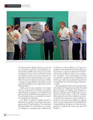 42 19 de septiembre de 2016
INVESTIGACIÓN SOCIEDAD
de Florecimientos Algales Nocivos, con el cual
se encontraron sustancias como glifosato, en-
drín, lindano, DDT (entre otros), en ríos, dre-
nes, lagunas y el mar en la costa de dicho estado.
Lo anterior muestra cómo estas sustancias son
aplicadas de forma indiscriminada, y no se que-
dan en la zona de aplicación, sino que se filtran
a cuerpos de agua aledaños afectando recursos
naturales esenciales como el agua y las comuni-
dades aledañas”.
Indica que en años recientes, se ha impul-
sado en la península de Yucatán una política
agroindustrial, en las que se ha introducido soya
genéticamente modificada, cuya siembra se rea-
liza principalmente por comunidades menoni-
tas y empresarios nacionales.
En 2012, el gobierno federal autorizó a
Monsanto la siembra comercial de soya trans-
génica sobre 253 mil hectáreas. “En el territorio
liberado habitan 41 mil familias, en su mayo-
ría, indígenas y campesinas que sobreviven de
la miel que cosechan. México es el tercer ex-
portador y sexto productor de miel de abeja. La
autorización es apenas la última de 15 autori-
zaciones de siembra de cultivo en las regiones.
Los resultados: miel contaminada con polen
de organismos genéticamente modificados y el
rechazo por parte de su principal mercado, los
consumidores de la Unión Europea” (Contralí-
nea 326)
El compendio de información que presentan
la Coalición de Organizaciones de la Sociedad
Civil al Grupo de Trabajo sobre Empresas y
Derechos Humanos de la Organización de las
Naciones Unidas indica: “si bien las empresas
deben aplicar los más altos estándares en mate-
ria de derechos humanos y tomar medidas es-
peciales en situaciones de conflicto, en algunos
casos, el sector empresarial se ha beneficiado de
la impunidad, la corrupción y la falta de trans-
parencia y rendición de cuentas por parte del
Estado”.
El presidente Peña Nieto durante la conmemoración del 150 aniversario de Cargill en el mundo. La trasnacional, señalada por presuntamente violar derechos humanos en el país
FERNANDOCARRANZAGARCÍA/CUARTOSCURO
 