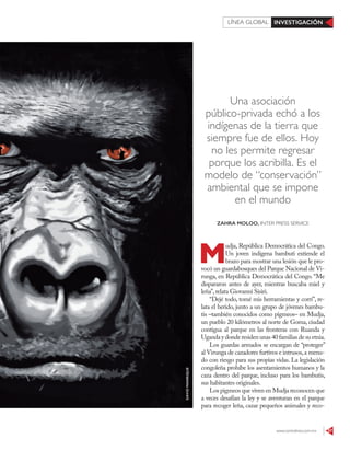 www.contralinea.com.mx 57
INVESTIGACIÓNLÍNEA GLOBAL
Una asociación
público-privada echó a los
indígenas de la tierra que
siempre fue de ellos. Hoy
no les permite regresar
porque los acribilla. Es el
modelo de “conservación”
ambiental que se impone
en el mundo
M
udja, República Democrática del Congo.
Un joven indígena bambuti extiende el
brazo para mostrar una lesión que le pro-
vocó un guardabosques del Parque Nacional de Vi-
runga, en República Democrática del Congo. “Me
dispararon antes de ayer, mientras buscaba miel y
leña”,relata Giovanni Sisiri.
“Dejé todo, tomé mis herramientas y corrí”, re-
lata el herido, junto a un grupo de jóvenes bambu-
tis –también conocidos como pigmeos– en Mudja,
un pueblo 20 kilómetros al norte de Goma, ciudad
contigua al parque en las fronteras con Ruanda y
Ugandaydonderesidenunas40familiasdesuetnia.
Los guardas armados se encargan de “proteger”
al Virunga de cazadores furtivos e intrusos,a menu-
do con riesgo para sus propias vidas. La legislación
congoleña prohíbe los asentamientos humanos y la
caza dentro del parque, incluso para los bambutis,
sus habitantes originales.
Los pigmeos que viven en Mudja reconocen que
a veces desafían la ley y se aventuran en el parque
para recoger leña, cazar pequeños animales y reco-
ZAHRA MOLOO, INTER PRESS SERVICE
DAVIDMANRIQUE
 