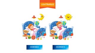 DORMIDA DESPIERTA
CONTRARIOS
 