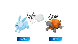 LENTARÁPIDA
 