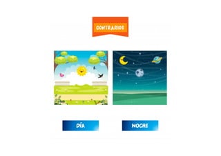 DÍA NOCHE
CONTRARIOS
 