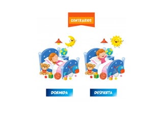 DORMIDA DESPIERTA
CONTRARIOS
 