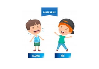 RÍELLORA
CONTRARIOS
 