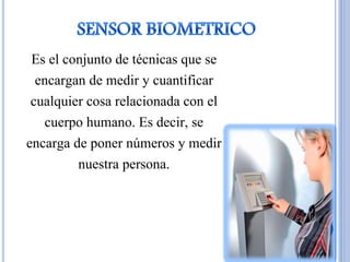 Es el conjunto de técnicas que se
encargan de medir y cuantificar
cualquier cosa relacionada con el
cuerpo humano. Es decir, se
encarga de poner números y medir
nuestra persona.
 
