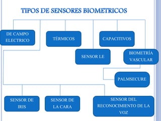 DE CAMPO
ELECTRICO CAPACITIVOSTÉRMICOS
SENSOR LE
BIOMETRÍA
VASCULAR
PALMSECURE
SENSOR DE
IRIS
SENSOR DE
LA CARA
SENSOR DEL
RECONOCIMIENTO DE LA
VOZ
 