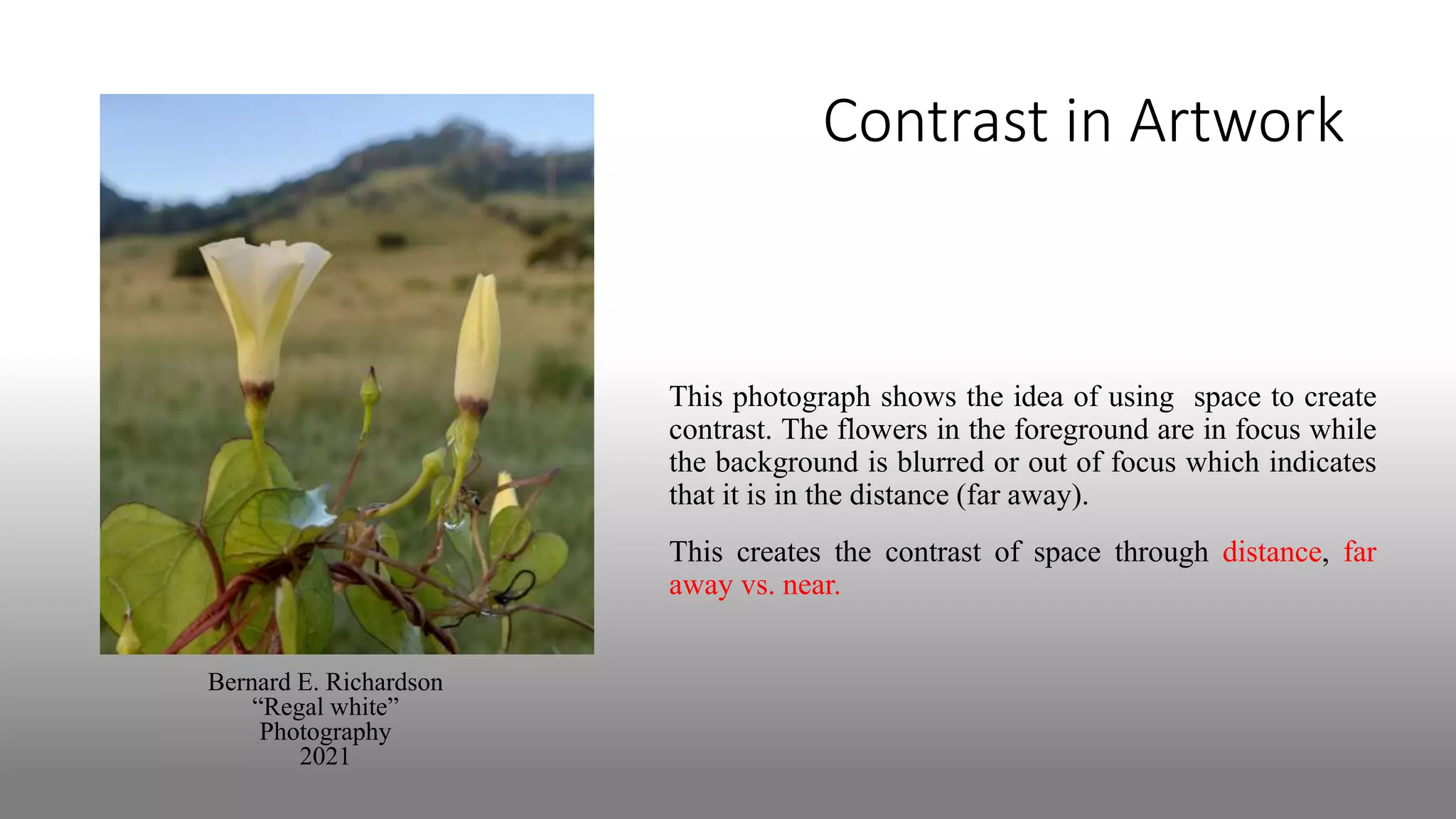 Contrast in Artwork
Bernard E. Richardson
“Regal white”
Photography
2021
This photograph shows the idea of using space to create
contrast. The flowers in the foreground are in focus while
the background is blurred or out of focus which indicates
that it is in the distance (far away).
This creates the contrast of space through distance, far
away vs. near.
 