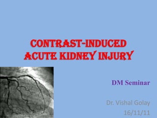 Contrast-induced
Acute Kidney Injury

               DM Seminar

              Dr. Vishal Golay
                     16/11/11
 