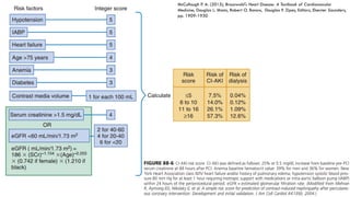 Contrast induced nephropathy | PDF