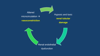 Contrast induced nephropathy | PDF