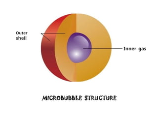 Comprehensive Overview of Contrast Echocardiography Techniques and ...