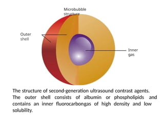Comprehensive Overview of Contrast Echocardiography Techniques and ...