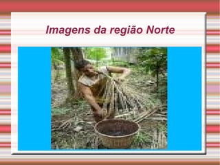Imagens da região Norte 