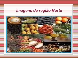 Imagens da região Norte 