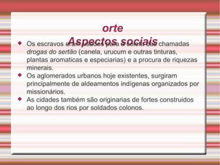 Norte Aspectos sociais Os escravos eram usados para a coleta das chamadas  drogas do sertão  (canela, urucum e outras tinturas, plantas aromaticas e especiarias) e a procura de riquezas minerais. Os aglomerados urbanos hoje existentes, surgiram principalmente de aldeamentos indígenas organizados por missionários. As cidades também são originarias de fortes construidos ao longo dos rios por soldados colonos. 