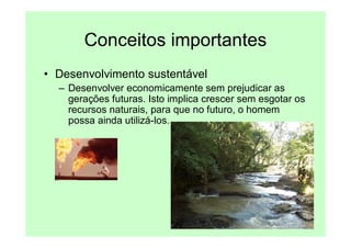 Conceitos importantes
• Desenvolvimento sustentável
  – Desenvolver economicamente sem prejudicar as
    gerações futuras. Isto implica crescer sem esgotar os
    recursos naturais, para que no futuro, o homem
    possa ainda utilizá-los.
 