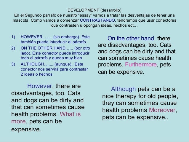 Essay about disadvantages of pets