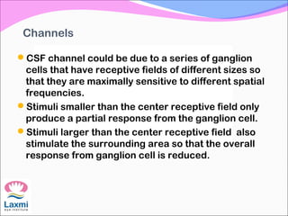 Channels
CSF channel could be due to a series of ganglion
cells that have receptive fields of different sizes so
that they are maximally sensitive to different spatial
frequencies.
Stimuli smaller than the center receptive field only
produce a partial response from the ganglion cell.
Stimuli larger than the center receptive field also
stimulate the surrounding area so that the overall
response from ganglion cell is reduced.
 