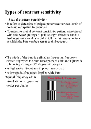 Comprehensive Overview of Contrast Sensitivity in Visual Function ...