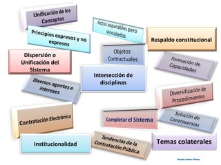 Intersección de
disciplinas
Dispersión o
Unificación del
Sistema
Respaldo constitucional
Temas colateralesInstitucionalidad
Ricardo Salazar ChávezRicardo Salazar Chávez
 