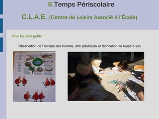 II.Temps Périscolaire
C.L.A.E. (Centre de Loisirs Associé à l’École)
Pour les plus petits :
•

Observation de l'univers des fourmis, arts plastiques et fabrication de loupe à eau

 