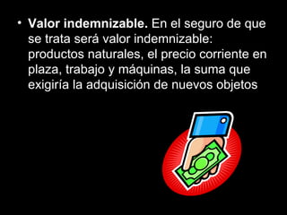 Valor indemnizable.  En el seguro de que se trata será valor indemnizable:   productos naturales, el precio corriente en plaza, trabajo y máquinas, la suma que exigiría la adquisición de nuevos objetos 
