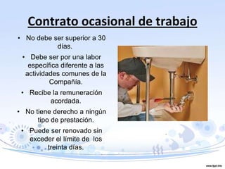 Contrato ocasional de trabajo
• No debe ser superior a 30
días.
• Debe ser por una labor
específica diferente a las
actividades comunes de la
Compañía.
• Recibe la remuneración
acordada.
• No tiene derecho a ningún
tipo de prestación.
• Puede ser renovado sin
exceder el límite de los
treinta días.
 