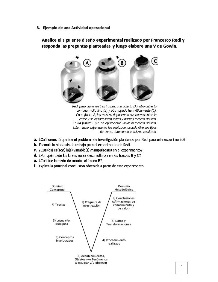 Contrato didáctico para la unidad de origen y evolución de 