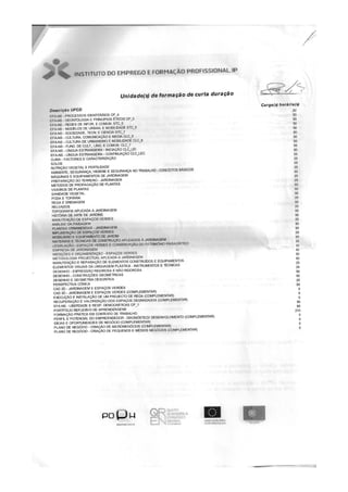 Contrato formação iefp