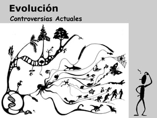 Controversias Actuales
Evolución
 
