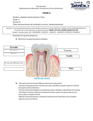 Área de salud
Departamento de Bienestar, Convivencia y Clima Institucional
FICHA 3
Nombre y Apellido: Karely Contreras Villon
Grado: 4
Sección: B
Tema: Reconocimiento de los dientes y la encía (retroalimentación).
Responderlassiguientespreguntas:
1) Mencionarlassiguientespartesseñaladas:
2) ¿Para qué sirvenlosdientes?Mencionarlas4 más importantes.
-Incisivos:Sirvenparacortar lacomida.Son ocho,ubicadosenla parte superiore inferior
de la parte central y delantera.
-Caninos:Sirvenparadesgarrarlacomida.Soncuatro,ubicadosa cada ladode losincisivos.
-Premolares:Trituranymasticanlacomida.Sonocho, cuatro enla parte superiorylos
otros cuatro enla parte inferior.
-Morales:Sirvenparatriturar y masticarla comida.Sonen total doce,seisenlaparte
superioryseisenla inferior.
Resolver el caso presentado durante la sesión de Zoom y enviarlo al correo electrónico: odontop_salud_talentos@outlook.com
El nombre del archivo debe tener el siguiente formato: PRIMER APELLIDO_NOMBRE_GRADOYSECCION
Ejemplo: saavedra_pedro_3B / (DESCARGAR EL ARCHIVO – RESOLVER – ADJUNTAR EL ARCHIVO Y ENVIARLO).
Esmalte
Dentina
Pulpa
Corona
Cuello
Ligamento
Cemento Radicular
Raíz
 