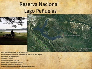 Reserva Nacional
Lago Peñuelas
•Está ubicada en el Km 89 de la Ruta 68
•Es un hermoso sector de alrededor de 200 há en la V región
•Las tarifas de ingreso son:
•Adultos: $ 2.500
•Adultos mayores: $ 2.000
•Niños entre 7 y 12 años: $1.500
•Menores de 7 años: liberados.
•Fue creada mediante decreto ley Nº 859 de 1952.
 