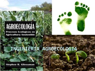 INGENIERIA AGROECOLOGIA 