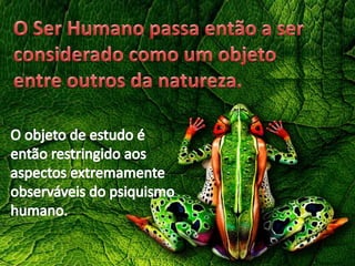 FENOMENOLOGIA 
