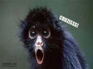 Contribuições sociais