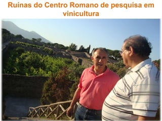 Ruínas do Centro Romano de pesquisa em
vinicultura
 